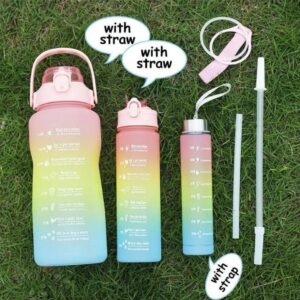 Gradient ABS Water Bottle Set of 3 with Straw